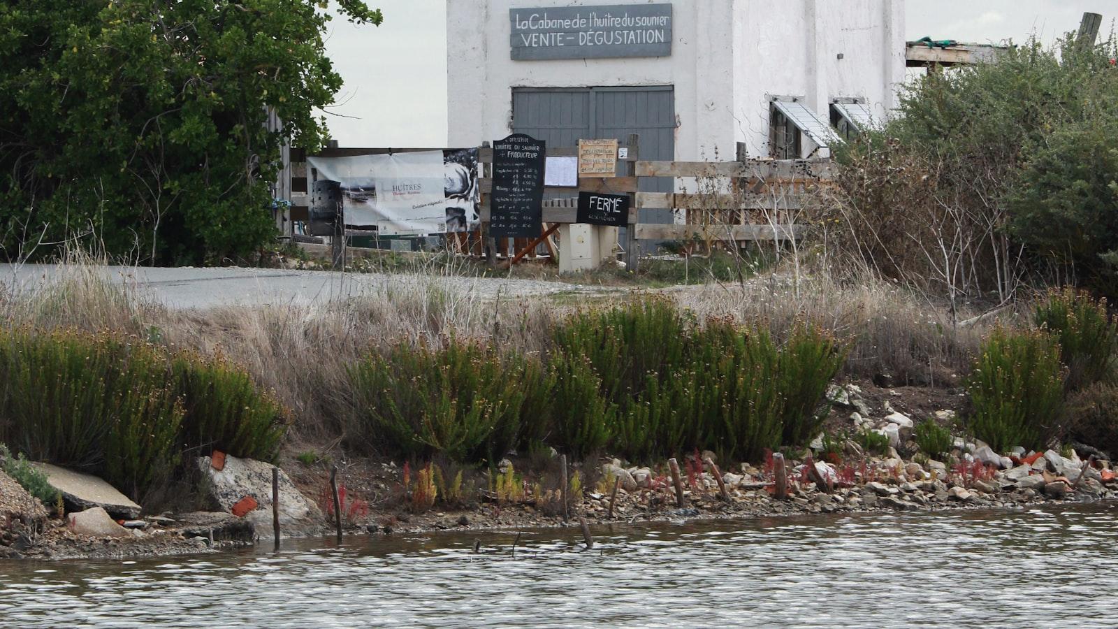 Ile cementu jest potrzebne do przygotowania 1 m³ betonu klasy B20?