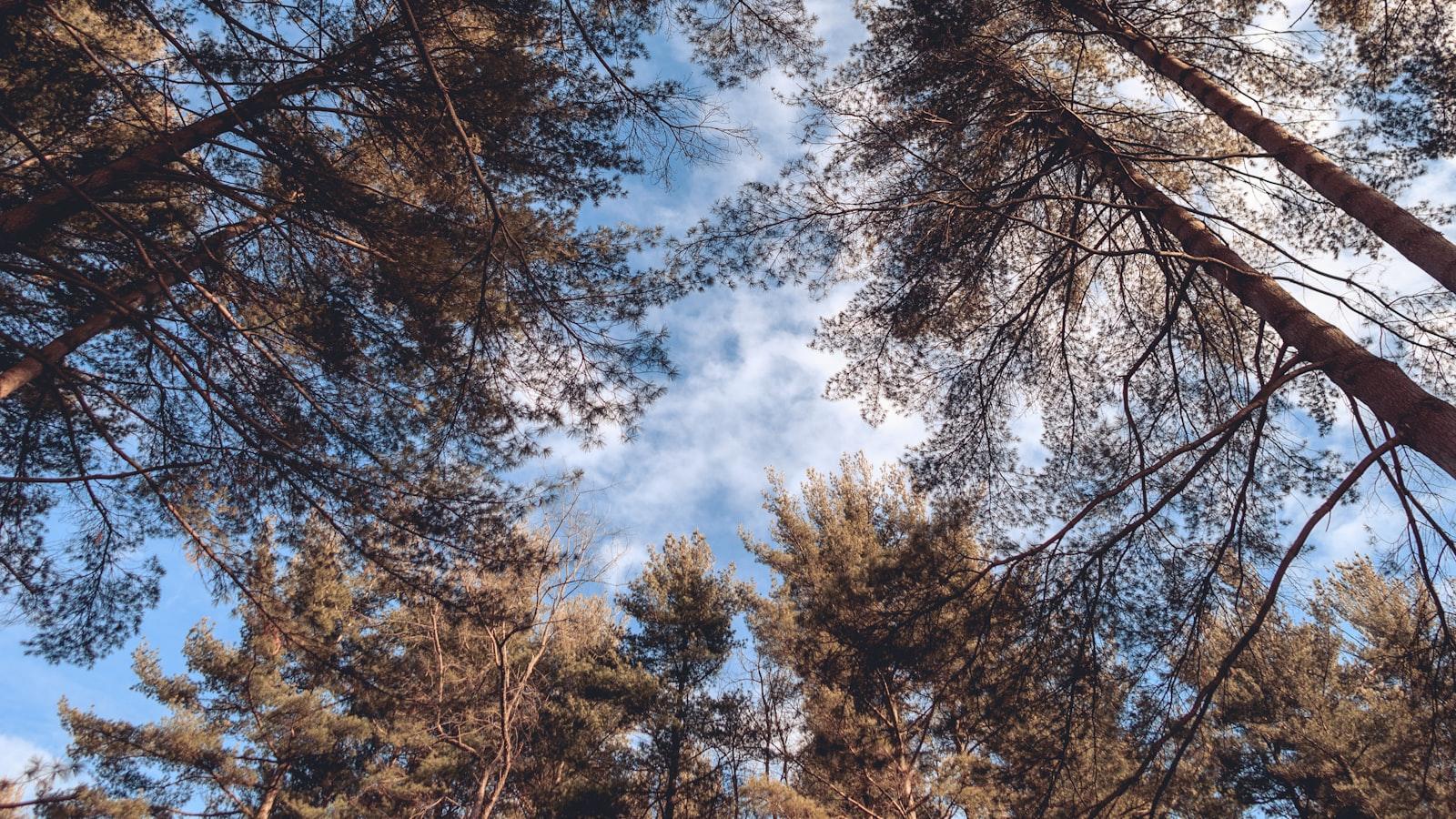 Jak odnowić stary murek betonowy?