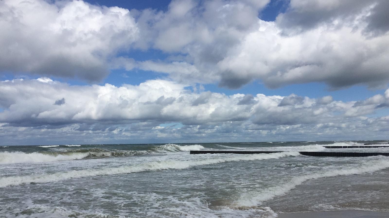 Właściwości kleju ‌do drewna