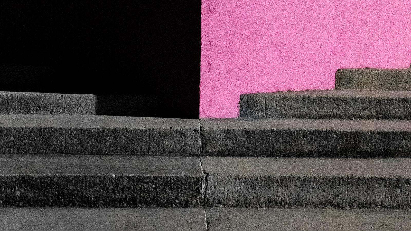 Jak rozpoznać obecność kun w domu?